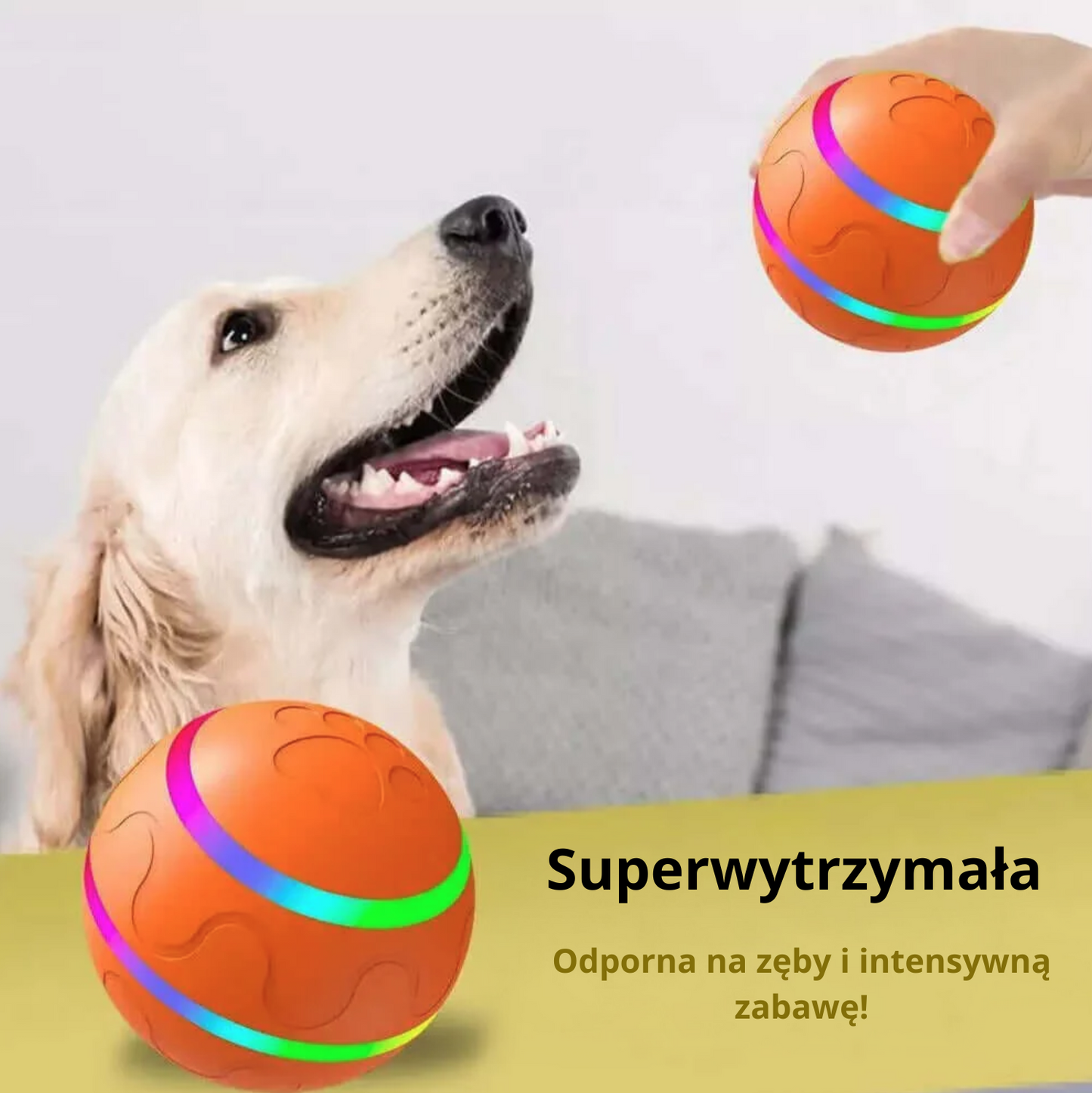 GlowBall™ - Interactive ball for your pet