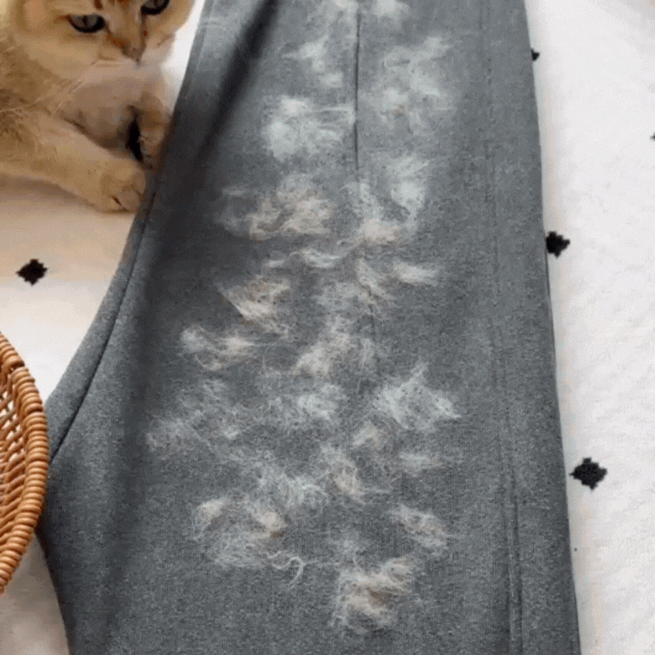 A clean home, a happy pet – effortlessly!